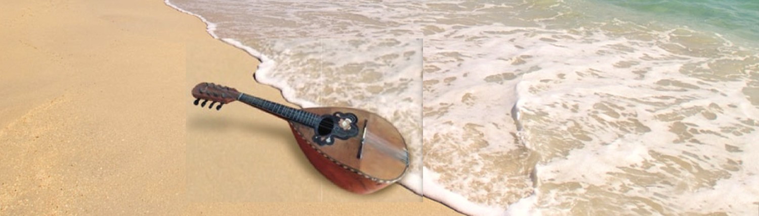 Sydney Mandolin Orchestra